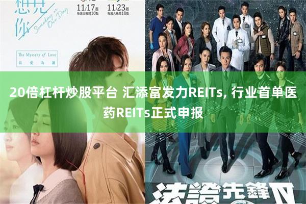 20倍杠杆炒股平台 汇添富发力REITs, 行业首单医药REITs正式申报