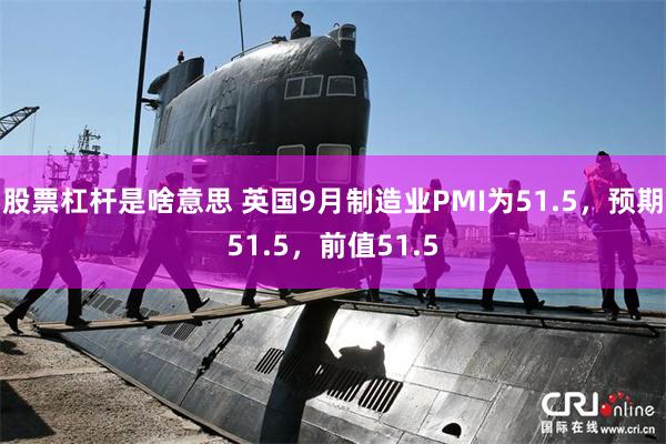 股票杠杆是啥意思 英国9月制造业PMI为51.5，预期51.5，前值51.5