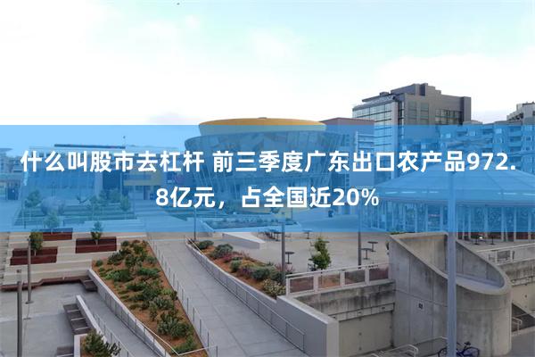 什么叫股市去杠杆 前三季度广东出口农产品972.8亿元，占全国近20%