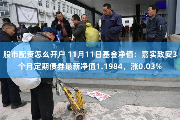 股市配资怎么开户 11月11日基金净值：嘉实致安3个月定期债券最新净值1.1984，涨0.03%