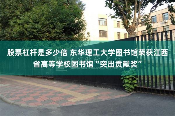 股票杠杆是多少倍 东华理工大学图书馆荣获江西省高等学校图书馆“突出贡献奖”