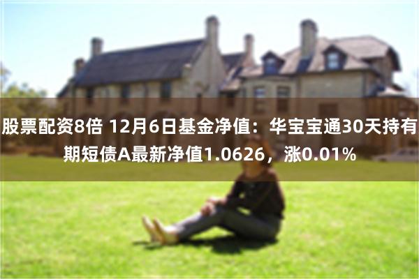 股票配资8倍 12月6日基金净值：华宝宝通30天持有期短债A最新净值1.0626，涨0.01%