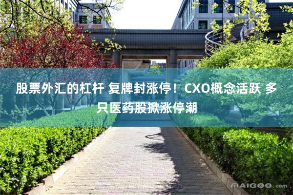 股票外汇的杠杆 复牌封涨停！CXO概念活跃 多只医药股掀涨停潮