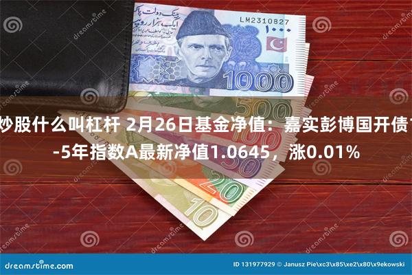 炒股什么叫杠杆 2月26日基金净值：嘉实彭博国开债1-5年指数A最新净值1.0645，涨0.01%