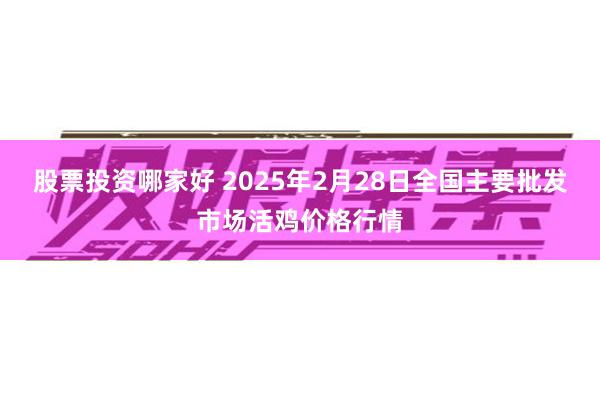 股票投资哪家好 2025年2月28日全国主要批发市场活鸡价格行情