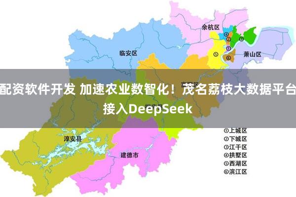 配资软件开发 加速农业数智化！茂名荔枝大数据平台接入DeepSeek