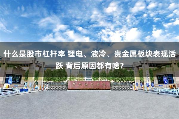 什么是股市杠杆率 锂电、液冷、贵金属板块表现活跃 背后原因都有啥？